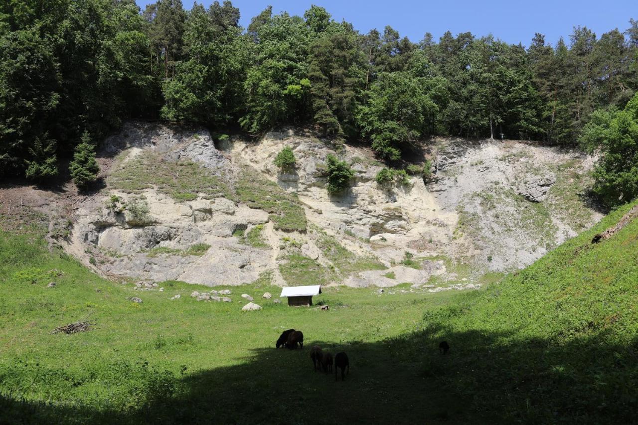 Landgasthof Adler Utzmemmingen Kültér fotó